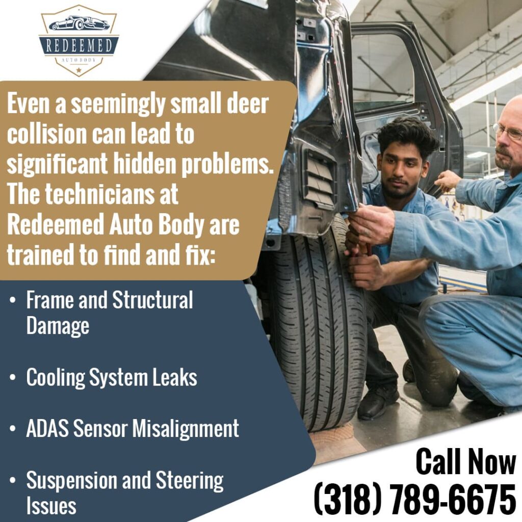 Small deer collision